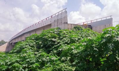 সেতু আছে, সড়ক নেই