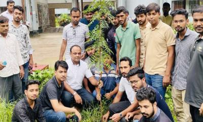 জুলাই শহিদদের স্মরণে বৃক্ষরোপণ ইবি শাখা ছাত্রদলের