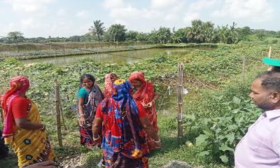 নারীর হাত ধরে দাকোপো জলবায়ু সহনশীল কৃষিতে বদলে যাচ্ছে জীবনের গল্প
