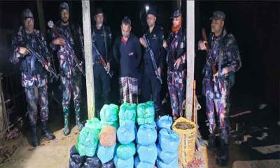 বিজয়নগরে বিজিবি এবং র‌্যাব এর অভিযানে ভারতীয় গাঁজাসহ আটক-১