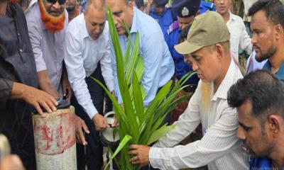 সবুজায়নের মহৎ উদ্যোগ: বৃক্ষরোপণ কর্মসূচির উদ্বোধন করলেন জেলা প্রশাসক