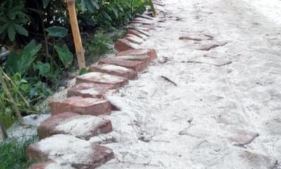 কাবিটা প্রকল্পে অনিয়ম, উঠে যাচ্ছে রাস্তার ইট