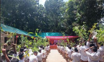 ভাঙ্গুড়ায় প্রিজম প্রি-ক্যাডেট এন্ড হাইস্কুলে দুই হাজার গাছের চারা বিতরণ