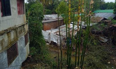 রাজস্থলীর বাঙ্গালহালিয়া খাল: দখল-দূষণে বিপর্যস্ত, ফিরে পাবে কি পূর্বের রূপ?