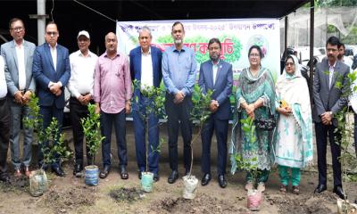 জুলাই পুনর্জাগরণ ও তারুণ্যের উৎসব উপলক্ষে অগ্রণী ব্যাংকের বৃক্ষরোপণ কর্মসূচি পালিত