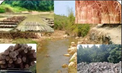 পাহাড়ে প্রাকৃতিক সম্পদ ছন-বাঁশ-গাছ-পাথর বিলুপ্তের পথে