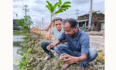 এম এ হাসানের বৃক্ষ রোপন