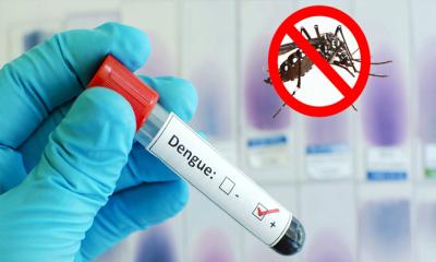 ডেঙ্গুতে আরও ১ জনের মৃত্যু, আক্রান্ত ৩৮৩