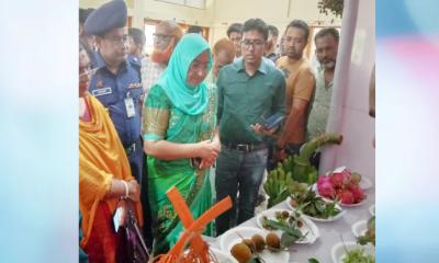 মুকসুদপুরে জাতীয় ফল মেলার উদ্বোধন