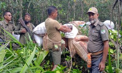 সুন্দরবনে বন কর্মীদের অভিযান ১৮ বস্তা অবৈধ শুটকি চিংড়ি জব্দ