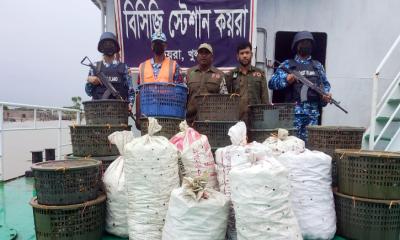 কয়রায় ৭ শ কেজি অবৈধ কাঁকড়া সহ ১ টি ট্রলার জব্দ