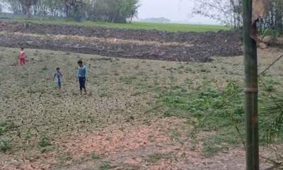 মুরগির বিষ্ঠার দুর্গন্ধে অতিষ্ঠ এলাকাবাসি রাজশাহী