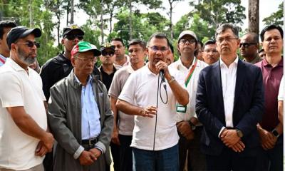 আসুন বুক ভরে শ্বাস নিতে একটি করে গাছ লাগাই: প্রধানমন্ত্রী