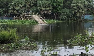 সেতুর অভাবে পাঁচ মাস ধরে স্কুলে যেতে পারছে না ৭০-৮০ শিক্ষার্থী