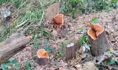 ভাঙ্গুড়ায় বিএনপি‍‍`র ৪৮তম প্রতিষ্ঠাবার্ষিকী পালিত