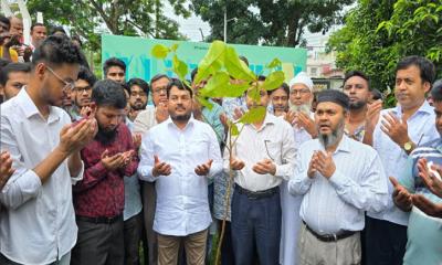 রুয়েটে বৃক্ষরোপণ কর্মসূচির উদ্বোধন করলেন রাসিক প্রশাসক