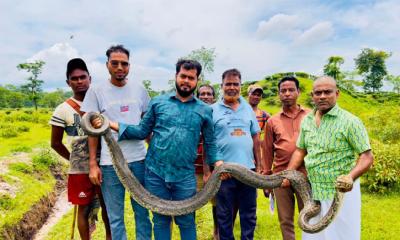 অজগর উদ্ধার