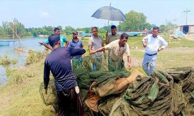সিংড়ায় ৬৯ টি চায়না দুয়ারি জাল জব্দ ও ধবংস