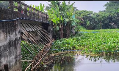 কাশিয়ানীতে ব্রিজের মুখ ভরাট করে সরকারি জমি দখল
