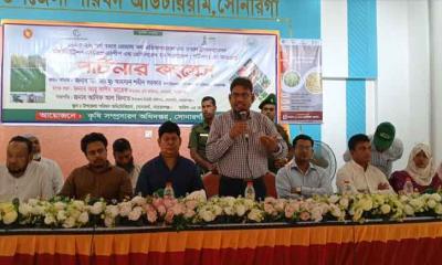 সোনারগাঁয়ে কৃষি প্রযুক্তি সম্প্রসারণে সচেতনতামূলক আলোচনা সভা