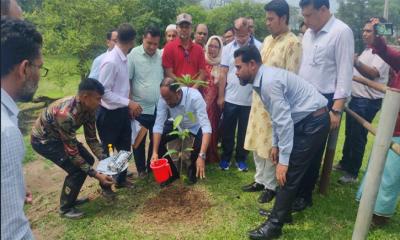 বান্দরবান নাইক্ষ্যংছড়ি গয়াল প্রজনন কেন্দ্র পরিদর্শনে পশু বিতরণ করেন,  প্রতিমন্ত্রী সুলতান সালাউদ্দিন টুকু এমপি