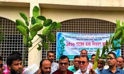 ঝালকাঠিতে সবুজ বাংলাদেশ গড়তে দেড় হাজার গাছের চারা বিতরণ