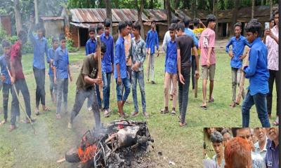 মান্দায় শিক্ষার্থীদের বিক্ষোভে অবরুদ্ধ প্রধান শিক্ষক, মোটরসাইকেলে আগুন