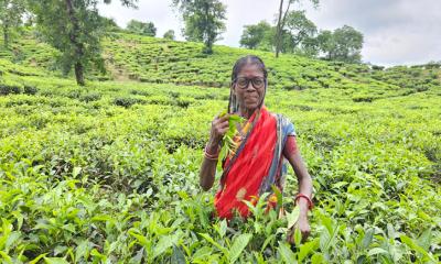 ২ হাজার চা-শ্রমিক ও পরিবারের দৃষ্টিসেবায় ব্র্যাক ব্যাংক ও ভিশনস্প্রিং