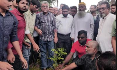 উজিরপুরে বিএনপির জাতীয় নির্বাহী কমিটির সহ-সম্পাদকের বৃক্ষরোপণ কর্মসূচি উদ্বোধন