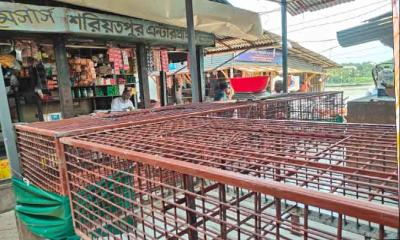 মুদি দোকান পট্টিতে হাঁস-মুরগি দোকান