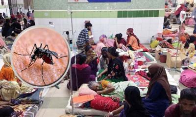 ডেঙ্গুতে আরও ৭ জনের মৃত্যু, আক্রান্ত ২২৪৯ জন