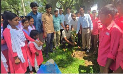 সিংড়ায় ক্ষিদ্রবড়িয়া স্কুলে বৃক্ষরোপণ কর্মসূচি অনুষ্ঠিত