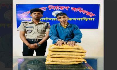 বিজয়নগরে মাদকসহ চোরচক্রের সদস্য বাছেদ আটক