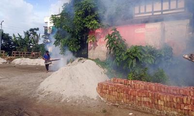 মাদারীপুর পৌরসভায় তিন মাসব্যাপী মশা নিধন অভিযান শুরু