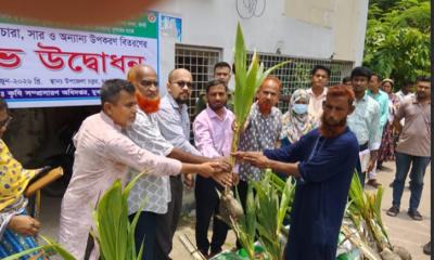 ৫ বছরে ২৫ কোটি বৃক্ষরোপণ কর্মসূচি