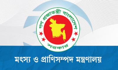মা ইলিশ রক্ষায় ১১১ এমপিকে নির্দেশনা