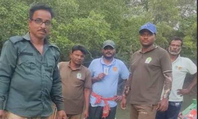 সুন্দরবনে অবৈধ ভেশালি জাল সহ নৌকা জব্দ