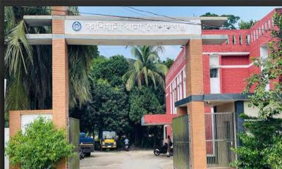 কাশিয়ানীতে নসিমন নিয়ন্ত্রণ হারিয়ে গাছে ধাক্কা, নিহত ১