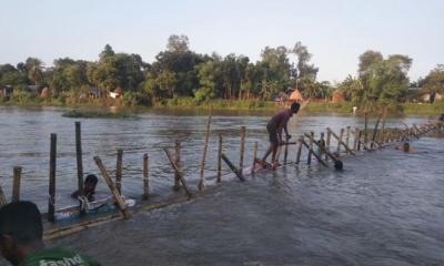সিংড়ায় ৩টি বাঁশের সৌঁতিজাল অপসারণ