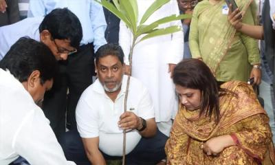 বৃক্ষরোপণকে সামাজিক আন্দোলনে রূপ দিতে হবে : ডিসি ঢাকা
