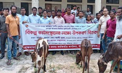 উজিরপুরে ৬৫ জেলে পরিবারকে বকনা বাছুর প্রদান