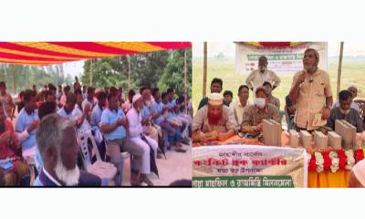 উল্লাপাড়ায় পরিবেশবান্ধব কংক্রিট ব্লক ফ্যাক্টরির উদ্বোধন