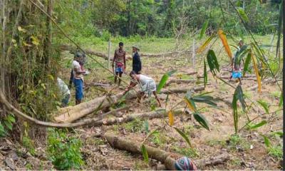 শ্রীপুরে জমি নিয়ে বিরোধে মা-ছেলেকে পিটিয়ে জখম