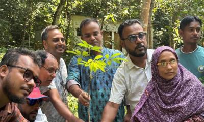 লাউয়াছড়ায় বিরল বুদ্ধ নারিকেলসহ দেশীয় প্রজাতির চারা রোপণ