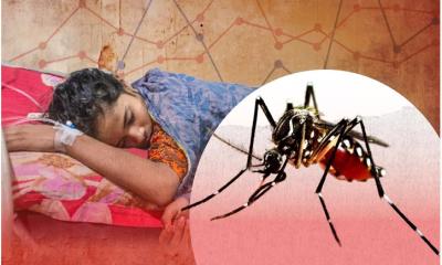 ডেঙ্গুতে ২৪ ঘণ্টায় ৮ জনের মৃত্যু