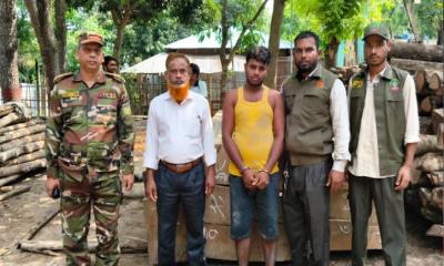অবৈধ পথে পাচার কালে সেগুন কাঠ উদ্ধার