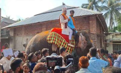 বর গেল হাতির পিঠে, কনে এলো ঘোড়ার গাড়িতে