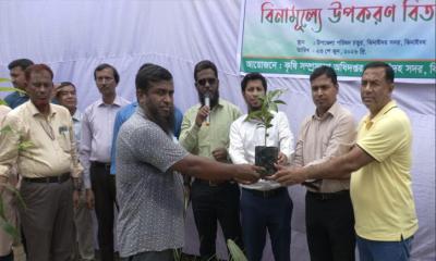 ঝিনাইদহে কৃষকদের মাঝে গাছের চারা ও হার বিতরণ