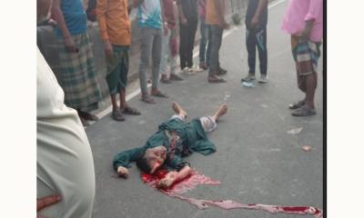 দাউদকান্দি কাউন্টারে পিকআপের চাপায় নার্স নিহত