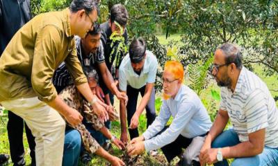 প্রধানমন্ত্রীর ২৫ কোটি বৃক্ষরোপণ কর্মসূচির অংশ হিসেবে মাতামুহুরি কলেজে সবুজের অভিযান